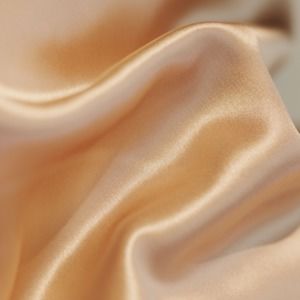 Meet your Posher, Evelyn